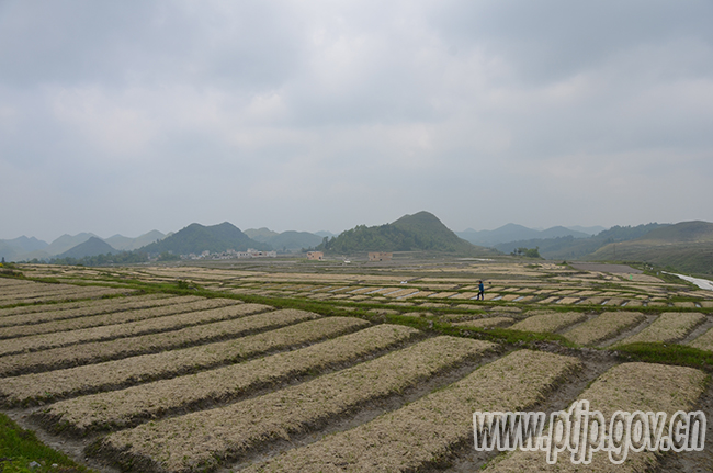 ‘必一·体育’哥伦乙(附): 利昂内斯 VS 巴瑞库拉终场小球比分0:1(图2) 必一·体育