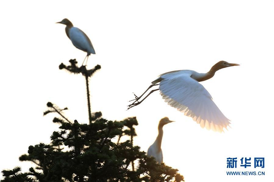 ‘bsports必一’湖北省水利水电科学研究院财务党支部开展3月主题党日活动(图3) bsports必一